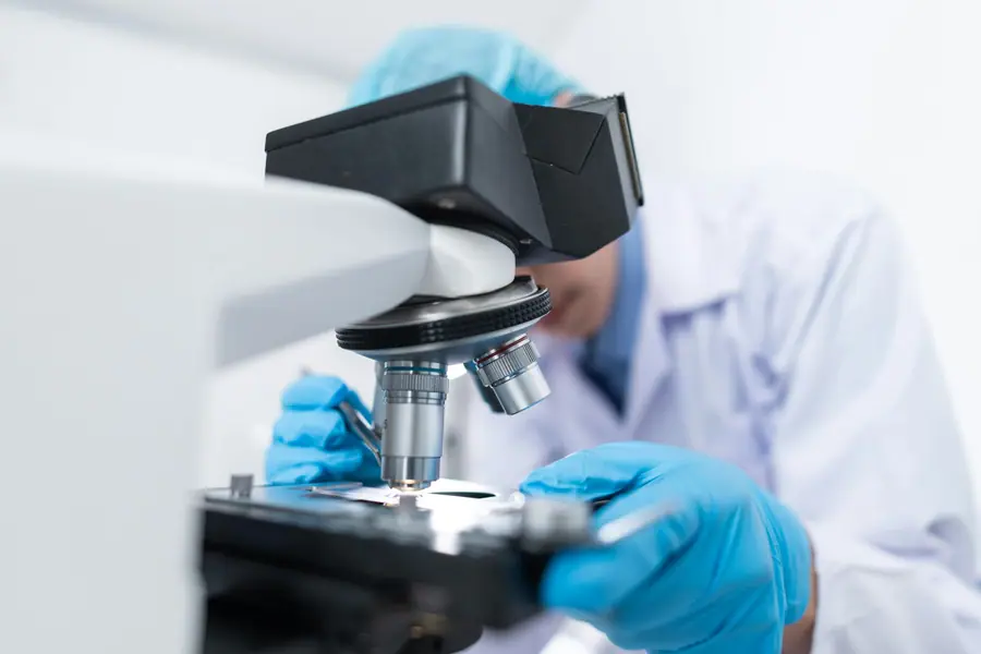 Ricercatore osserva un campione al microscopio in laboratorio